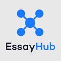 essay writing services by EssayHub